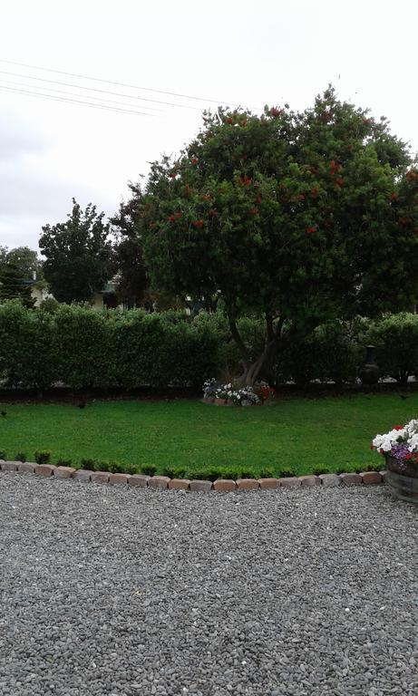 Coeden Cottage Blenheim Ngoại thất bức ảnh