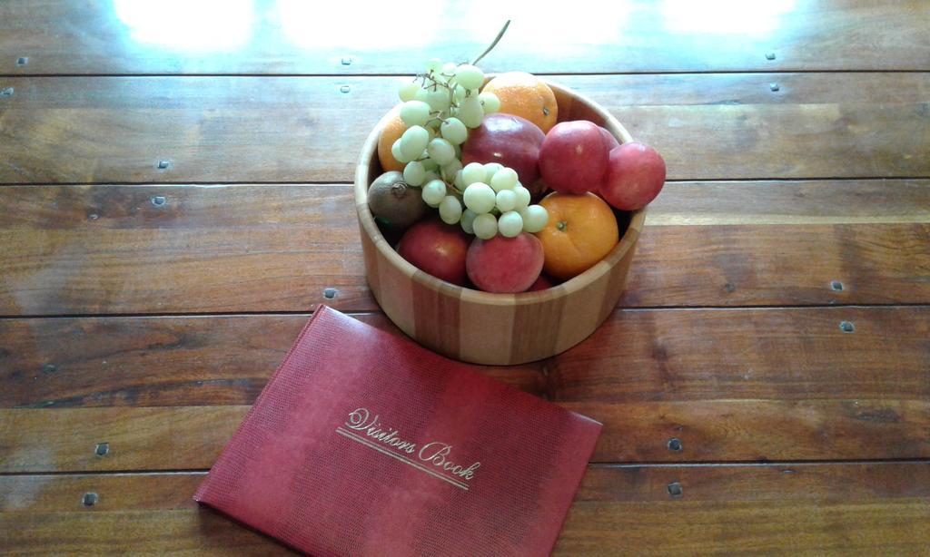 Coeden Cottage Blenheim Ngoại thất bức ảnh