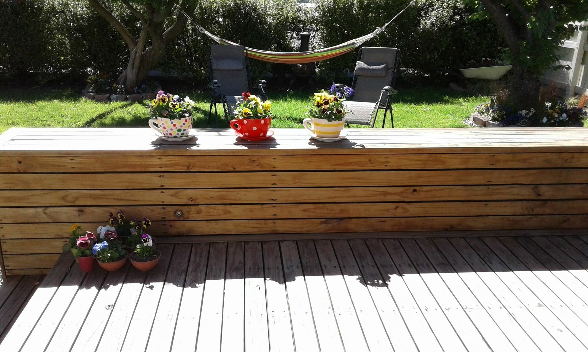 Coeden Cottage Blenheim Ngoại thất bức ảnh